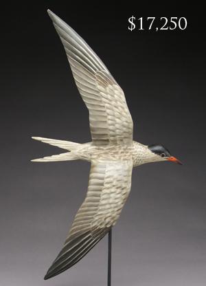 Flying Tern by Elmer