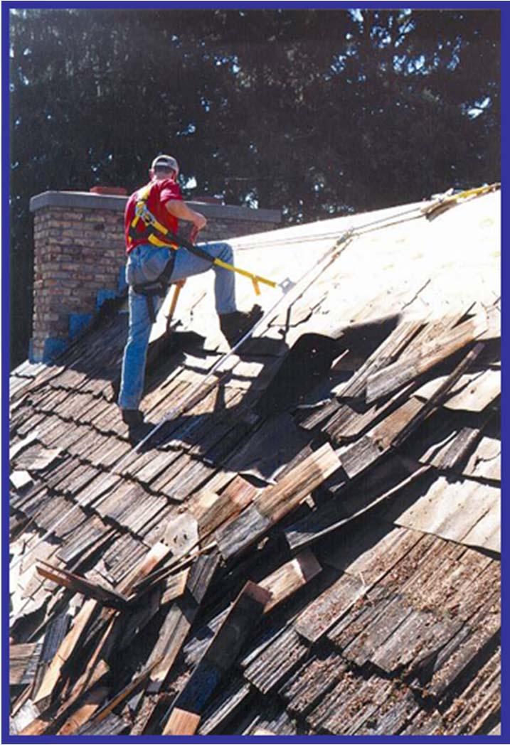 Fall Protection Numerous devices exist for fall protection