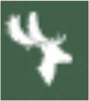 General Provisions Measurement of all 4 ibex species in SCI scores: Juan Toquero is an