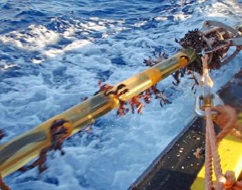 Introduction The offshore seismic industry has over the years and in certain areas of the world been hampered by barnacle growth on the streamers.