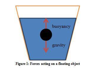 FORCES IN FLUIDS A FORCE is a push or a pull that acts on an object Example: Gravity Weight is the downward pull of an object due to the force of gravity