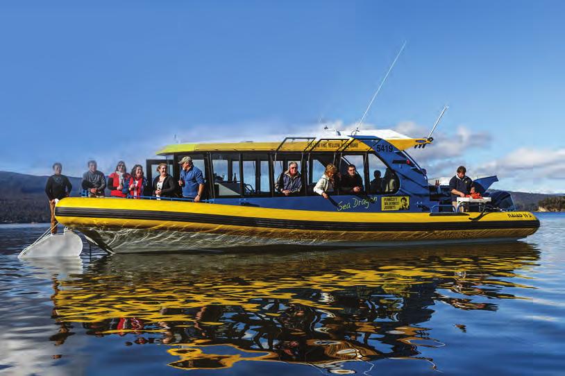 TOURISM AT NAIAD, WE VE DESIGNED MANY VESSELS SPECIFICALLY FOR TOURISM OPERATORS AND UNDERSTAND THE INDUSTRY S DYNAMICS.