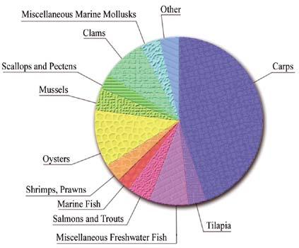 Fig. 3. The proportion of total aquaculture production accounted for by different taxonomic groups. Naylor et al.