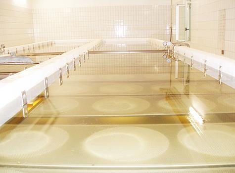Cheese Brine Brine Features Saving salt and water reduce environmental impact Reduce microbiological growth in brine Maintain salt & Calcium level, ph Avoid sludge in the tank No additives to brine