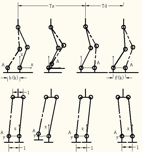 Human biped locomotion The first paper on human biped locomotion I read is: M. Saunders,V. T. Inman, and H. D.