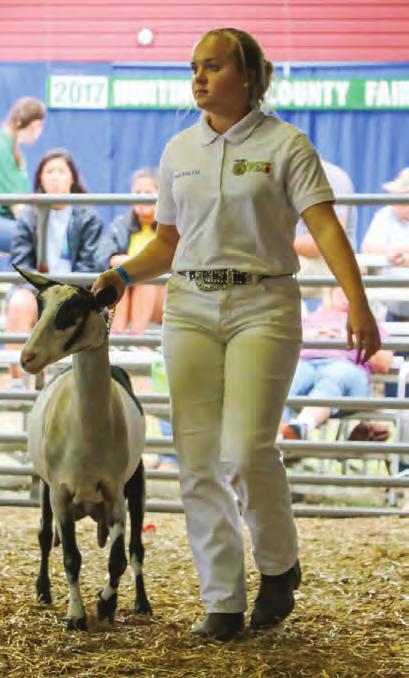 Section 1 - Open Dairy Goats BREEDS (Shown in this order on Sunday) 01. Alpine 03. Nubian 05. Toggenburg 07. Recorded Grades 02. LaMancha 04. Saanen 06. Oberhasli 08.