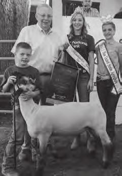 Conditions considered for a subsititue showman request are: 1. A conflict between the exhibitor s livestock show and another fair premium contest on the fairgrounds.