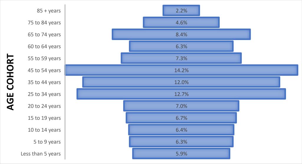 FIGURE 5 8 : POPULATION PYRAMIDS (DODGE COUNTY ABOVE AND STATE BELOW) Almost all the jurisdictions in the county are losing population, although these declines are modest (1-4% between 2010 and 2016).