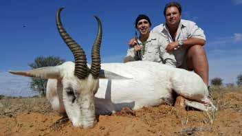 The abundant nomad wild Eland boasts extraordinary horn lengths in this region.