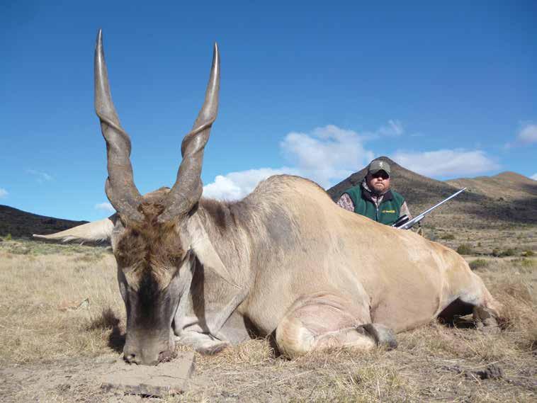 Tony McCain - Michigan This beautiful Eland was taken by Tony in the Eastern Cape, S.