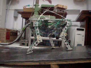 the quadrupedal robot and added CPG controllers into our robot model.