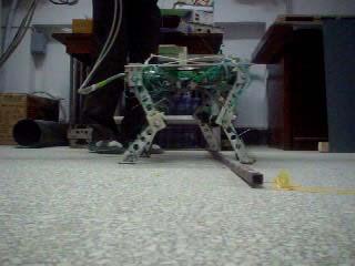 coordinated motion is got. We also proposed a new method for gait transition of the quadrupedal walking robot.
