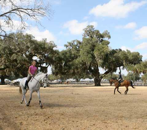 OCALA, FL HITS Post Time Farm HITS Post Time Farm in the heart of Florida s horse country boasts 450 rolling acres.