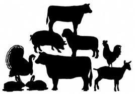 4-H Market Animal Project News Market Animal Tagging May 2 Market Hogs, Market Lambs, Dairy Beef Feeders, Beef Feeders, and Market Goats must be tagged on Saturday, May 2.