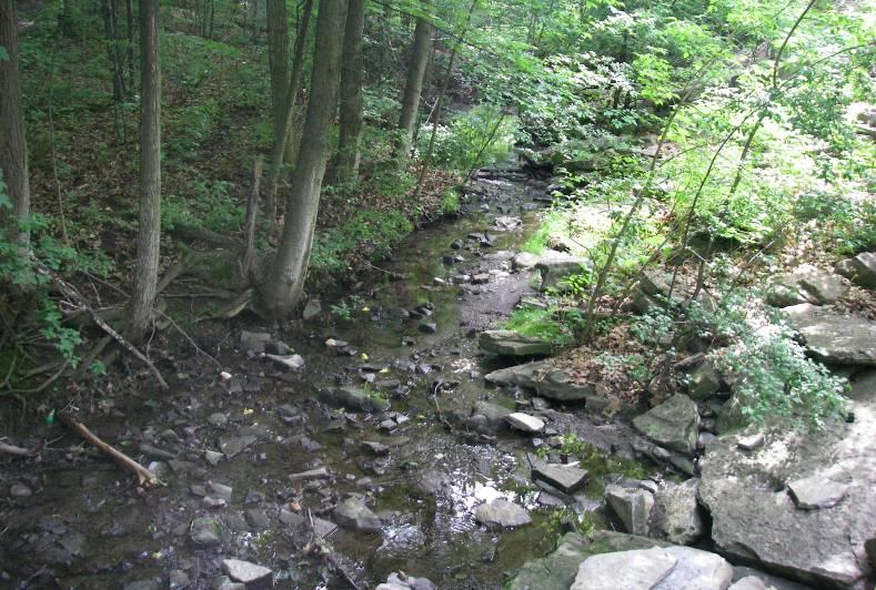 Photo 3 Looking upstream at Butternut Creek. The second channel was located on the west side of the Cataraqui River and runs from south to north on the north side of Belle Park.