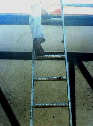 Inspecting Ladders Look for broken or missing steps or rungs Look for broken or split side rails and other defects Check