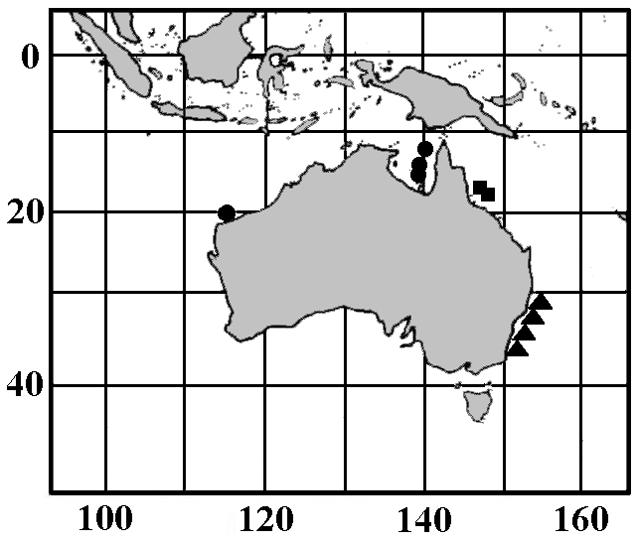 252 Records of the Australian Museum (2004) Vol. 56 Fig. 2. Capture locations for three Australian species of Soleichthys. = S. microcephalus; = S. serpenpellis; = S. oculofasciatus.
