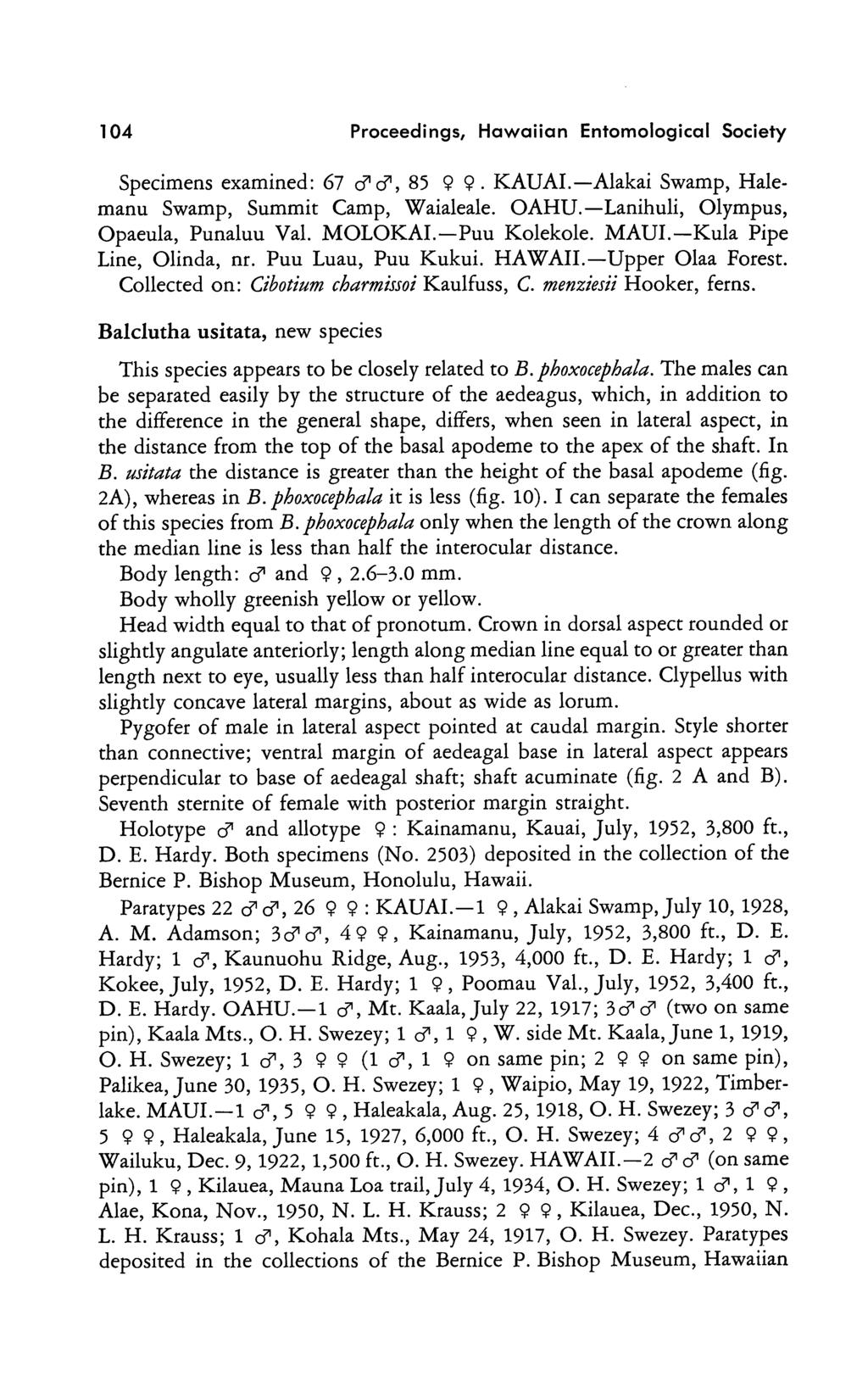 104 Proceedings, Hawaiian Entomological Society Specimens examined: 67 cfcf, 85 9 9. KAUAL Alakai Swamp, Halemanu Swamp, Summit Camp, Waialeale. OAHU. Lanihuli, Olympus, Opaeula, Punaluu Val. MOLOKAI.