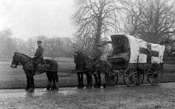 It was easier to carry out more developed procedures away from the front line. Horse-Drawn Originally the decision was made not to send motor ambulances to the frontline.