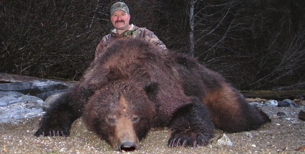 First hunt only 2 bears were taken for 5 hunters. The next 2 hunts everyone scored. Overall on his lodge based hunts 11 hunters took 8 bears.