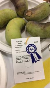 ! Tony Cissell s paw paws First Place at