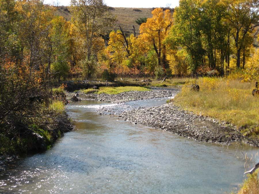 LOCATION: The Cliff Ranch at Crazy Creek is located in the Big Timber Creek Valley approximately 5 miles north of Big Timber, Montana in Sweet Grass County.