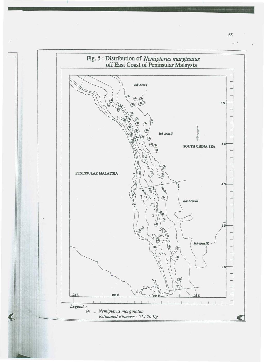 Fig. 5 : Distribution of Nemipterus marginatus off East Coast of