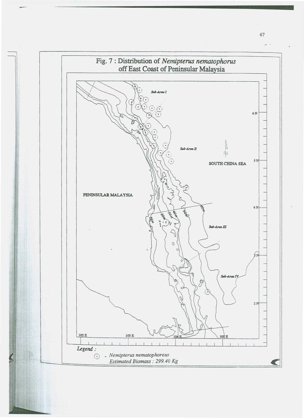Fig. 7 : Distribution of Nemipterus nematophorus off East Coast of