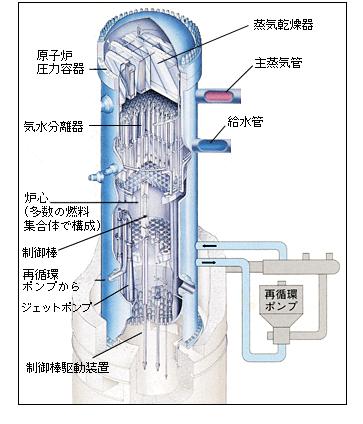 Reactor core and pressure vessel of BWR Fuel rod