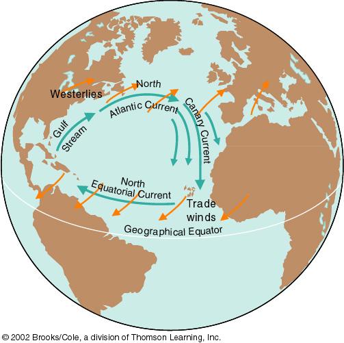 North Atlantic gyre Several currents: North Atlantic Current