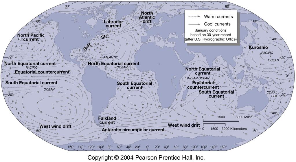 The Major Wind-Driven Ocean Gyres N. Pacific Subpolar Gyre N. Atlantic Subpolar Gyre N.