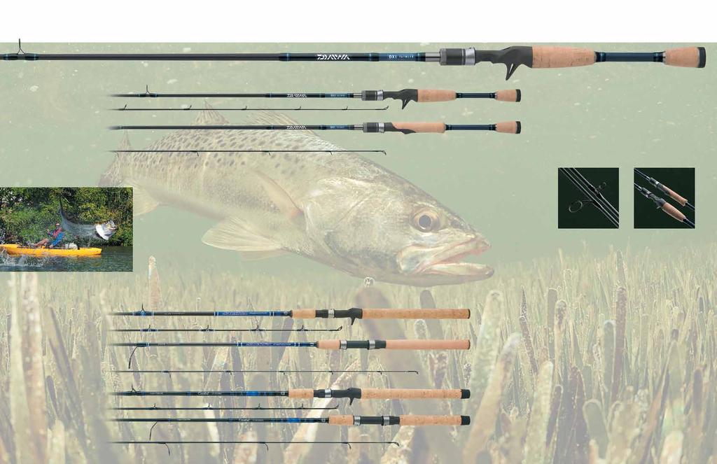 New DXI Inshore Rods This quality series of spinning and casting actions are based upon Daiwa s most popular Gulf Coast actions.