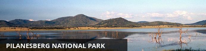 Kruger National Park to the iconic Table Mountain in the Cape, takes some beating.