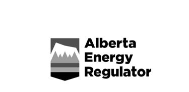 Directive 020 Release date: March 15, 2016 Effective date: March 15, 2016 Replaces previous edition issued June 9, 2010 Well Abandonment The Alberta Energy Regulator has approved this directive on