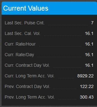 The values that the user can view are as follows: Last Second Pulse Count Last Second Calculated Volume Current Rate/Hour Current Rate/Day Current Contract Day Volume Current Long Term Accumulated