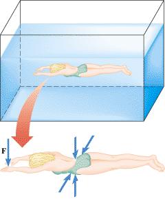 Pressure Water applies a force perpendicular to each surface within the water, including the walls and bottom of the swimming pool, and all parts of the swimmer s body.
