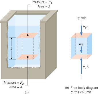 Pressure in a Static Fluid Since the column is in equilibrium, the sum of the vertical forces