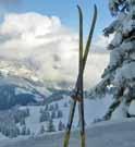 13-22.02.13) Phone +41 (0)41 399 87 87 www.rigi.ch 4 Snowshoe Trails Three signposted snowshoe trails (1.