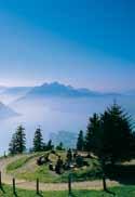 2013, 10 am Station Rigi Staffel During this free three-hour walk, a knowledgeable guide from the association Pro Rigi will tell you exciting things about Mt. Rigi s flora.