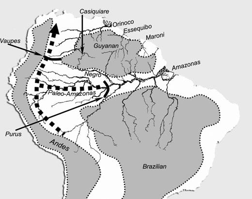 HISTORICAL BIOGEOGRAPHY OF THE CASIQUIARE 1015 Fig. 1 Map of northern South America showing relevant geographic and geological features. Structural arches: Vaupes Arch; Purus Arch.