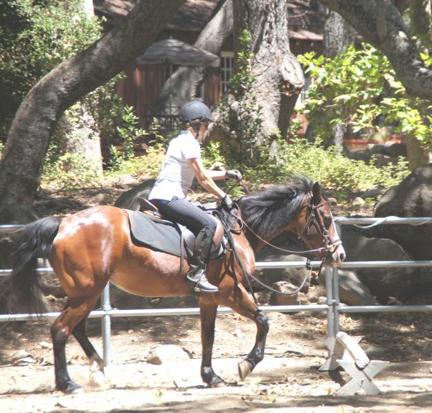 Please contact Debbie DiMascio. 818.222.7497 Email: horselvr@malibuoaks.com IT IS A HOT DRY SUMMER!