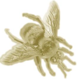 Entomology we keep you up to date on what s happening in the Department of Entomology and with Alumni. Won t you please take a moment to help keep us up to date with you?