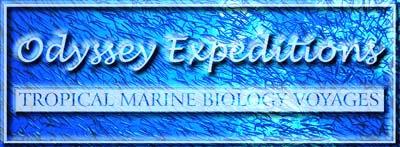 1 of 13 2/10/2009 8:50 AM presents Coral Reef Fish Ecology by Jason Buchheim Director, Odyssey Expeditions Coral Reef Fish Find great deals and save!