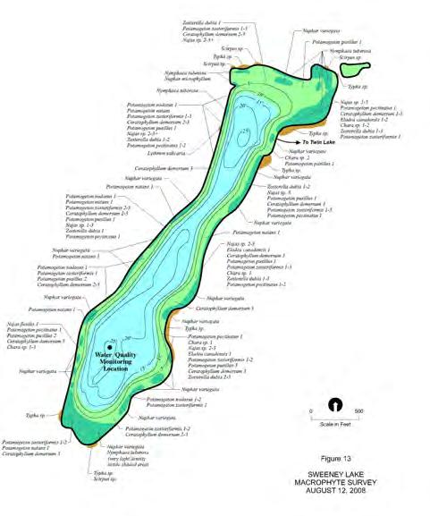 Aquatic Plants: In some cases, aquatic plants can be used to determine if fish are adversely impacting lake water quality. Aquatic plant maps for Sweeney and Twin Lakes for 2008 are shown in Figure 8.