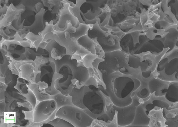 Fig. S6 SEM image of PC. Fig. S7 Electrochemical characterization of AC and PC using BRE0.