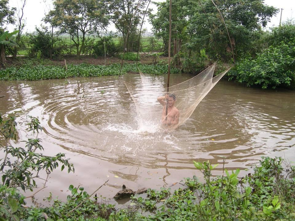 Typical pond for household