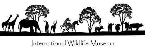 DISCOVERY SAFARI A Self-Guided Tour of the International Wildlife Museum Grades 9-12 Educators This educator s guide provides you and your chaperones with inquiry-based questions to stimulate