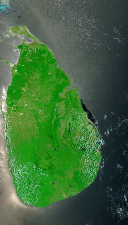 Figure 7. Left. 250m-resolution MODIS image of Sri Lanka Island (Channels 7-2-1) taken on 29-MAR- 2007.