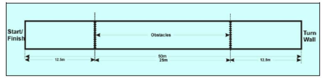Note: The thrower and catcher must be from the same club and of the same gender and age division (see chart page 9). LINE THROW Crossbar Throw line Throw zone 1.5m 12.5m 50m 6m 5.