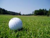 Spotter Responsibilities Golf balls in the fairway do